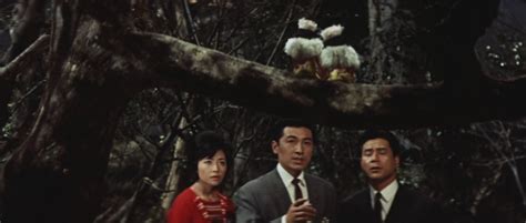 Mothra Vs Godzilla 1964 Review The Godzilla Project Psycho