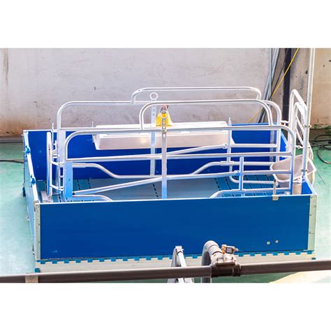 High Quality Pvc Wall With Hot Galvanized Sow Farrowing Cage For Pig