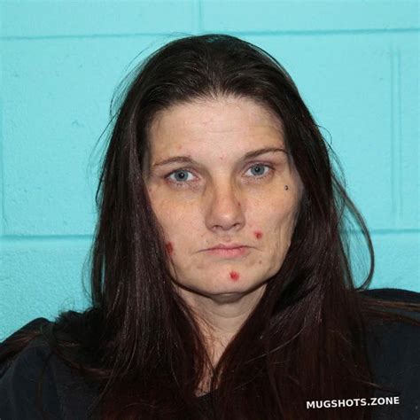 Felisha Dawn Bissett Nolan County Mugshots Zone