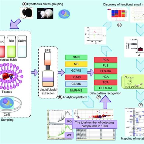 Differential Small Molecules Discovered By Ms Based Metabolomics Download Scientific Diagram