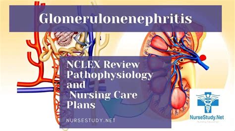 Nephrotic Syndrome Nursing Diagnosis Captions Hunter