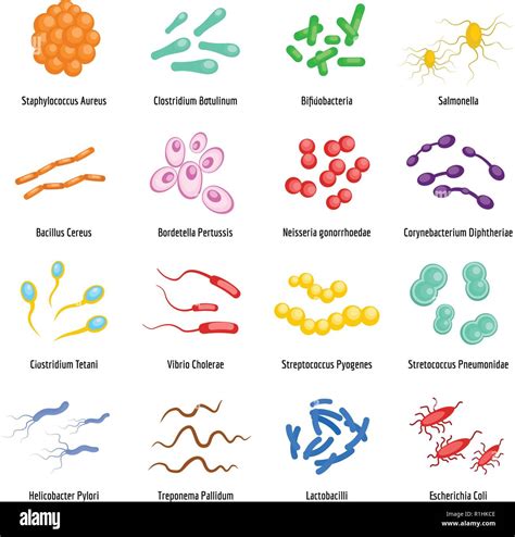 Viruses And Bacteria Icons Set Flat Illustration Of Viruses And