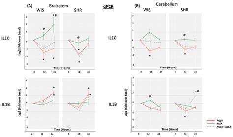 Molecules Free Full Text Contrasting Roles Of Ang Ii And Acea In