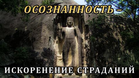 ОСОЗНАННОСТЬ – ИСКОРЕНЕНИЕ СТРАДАНИЙ - YouTube