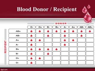 Blood Types Transfusion Organ Transplantation PPT