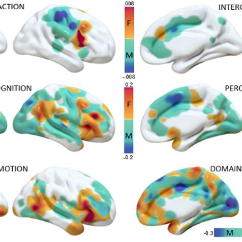 Surface Mapping Of The Differences Between The Sex In The Behavioral Download Scientific