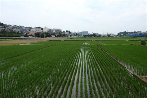 無線ブログ集 横浜市青葉区～ ライセンスフリー無線情報