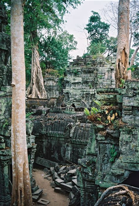 Preah Khan Temple Angkor Cambodia