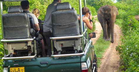 Parc National De Yala Safari L Opard Visite D Une Joun E Avec