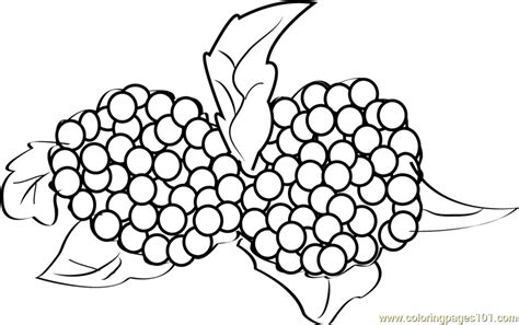 Berries And Flower Pages Coloring Pages