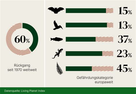 Biodiversitätsfonds Vielfalt fördern Lebensraum zurückgewinnen