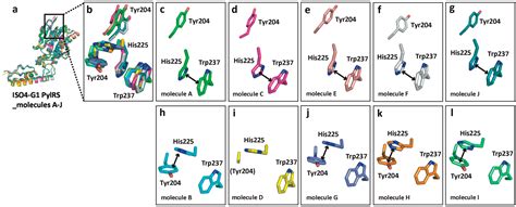 Ijms Free Full Text Crystal Structure Of Pyrrolysyl Trna Synthetase