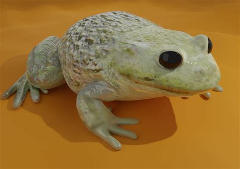 3D model Low-Poly PBR Toad - Crapaud VR / AR / low-poly | CGTrader