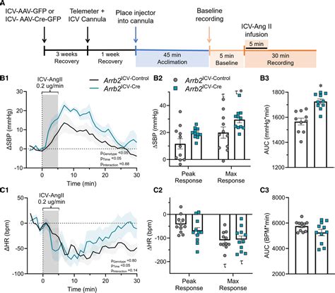 Genetic Deletion Of β Arrestin 2 From The Subfornical Organ And Other