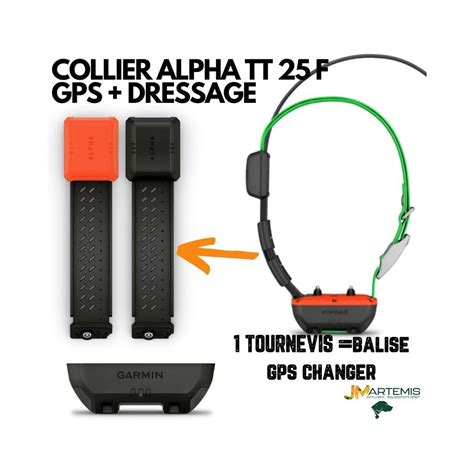 Pack Alpha F Collier Garmin Tt F Reperage Et Dressage