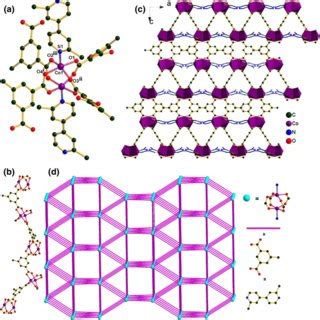 A Coordination Environment For Co Ii Ion In B View Of An Infinite