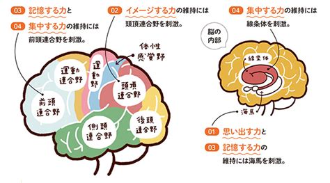 脳を鍛える！無料「大人の脳トレドリル」で認知症予防（ハルメク365）