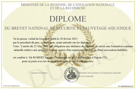 Diplome Du Brevet National De Securite Et Sauvetage Aquatique