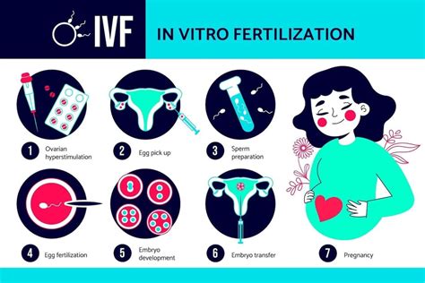 Risks and Side Effects of IVF: Ways to Alleviate the Complications