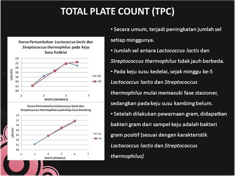 Pengaruh Variasi Substrat Terhadap Jumlah Sel Lactococcus Lactis Dan