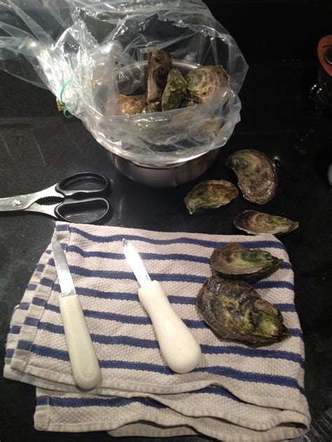 Oyster shucking lesson | Shucking oysters, Oysters, A moveable feast