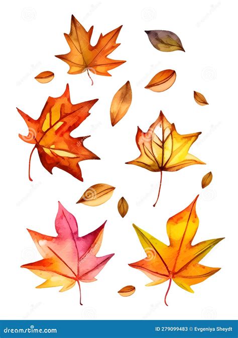 Watercolor Set Of Autumn Maple Leaves Isolated On White Background