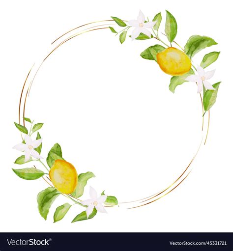 Hand Drawn Watercolor Painting Lemon Frame Vector Image