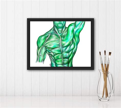 Surface Anatomy Of Front Vibrant Colors Digital Hand Drawn Art IPad