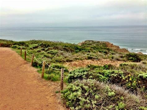 Torrey Pines Hiking Trails | Hiking trails, Torrey pines, Country roads