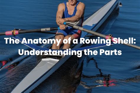 The Anatomy Of A Rowing Shell Understanding The Parts The Rowing Tutor