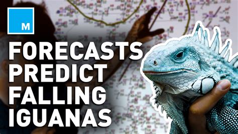 National Weather Service Accurately Predicted Falling Iguanas In