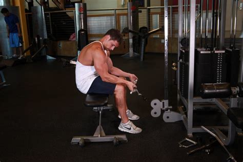 Curl De BÍceps Con Cuerda En Polea Baja Gimnasiowebes