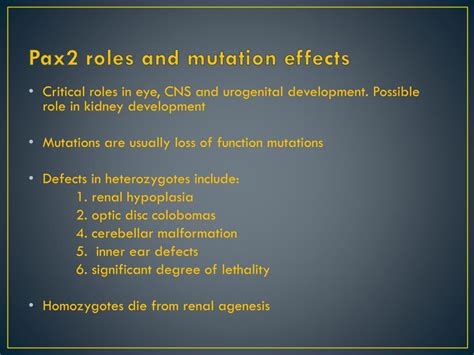 Ppt The Opdc Missense Mutation Of Pax Has A Milder Than Loss Of