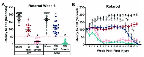 Rotarod Performance Distinguishes Between Mild And Severe Motor