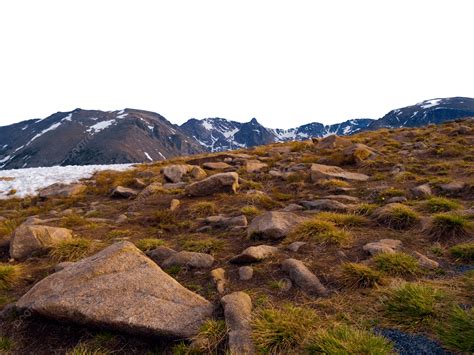 Rain Over Alpine Tundra Alpine Rocky Nature, Colorado, Evening
