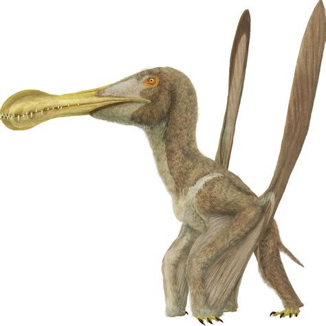 Ornithocheirus - Pteros