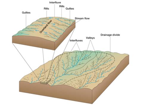 Unit 2 Geomorphology External Process Flashcards Quizlet