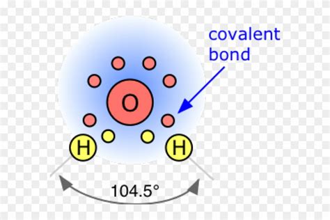 Drawn Molecule Structural Diagram Water - Structural Diagram Of A Water Molecule, HD Png ...