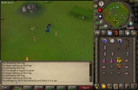 Old School RuneScape | 1-99 Hunter Training Guide (P2P) | HGG