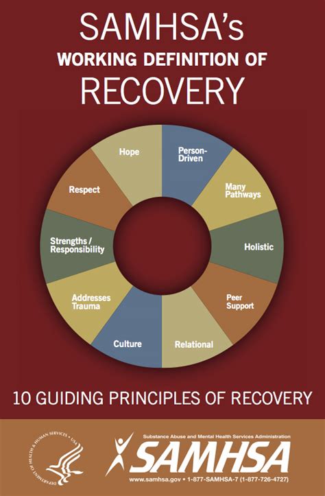 Samhsa Systems Of Care Principles And Diagrams