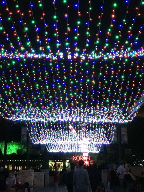 Christmas Lights On The Riverwalk San Antonio | Shelly Lighting