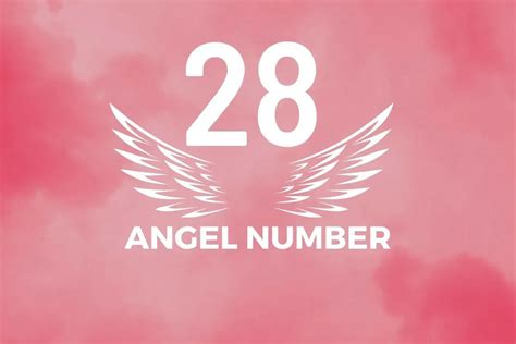 Angel Number 28 Meaning And Symbolism - Blackbird