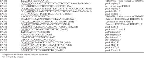 Oligonucleotide Primers Used In This Study Primer Sequence Restriction