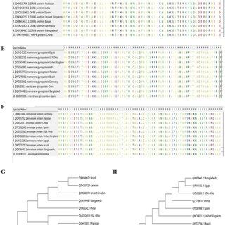 Multiple Sequence Alignment And Phylogenetic Analysis Of Different