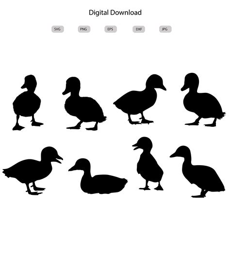 Baby Ducks Svg Baby Ducks Silhouette Baby Ducks Svg Bundle Baby Ducks