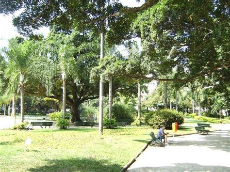 Preserve Ipanema Praça Nossa Senhora da Paz Diário do Rio