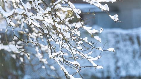 Temperatursturz Bringt Winter Comeback Wann Es In Baden W Rttemberg