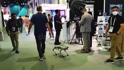 Dubai Uae Robot Entertaining Visitors At Gitex