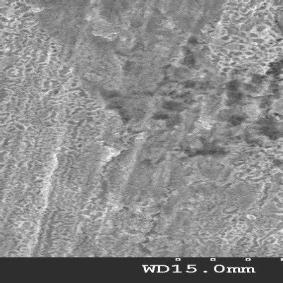 SEM Images Obtained For The Mild Steel Surfaces Immersed For 2 H In 1M