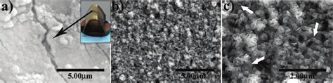 SEM Images At Di Ff Erent Magni Fi Cations Of The Fi Lm Deposited